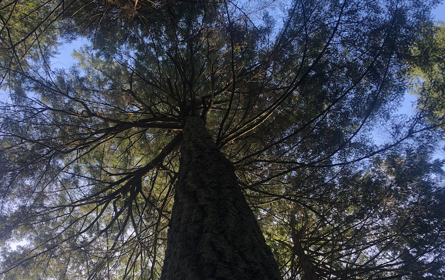 Principal’s Message Madeira Park Elementary